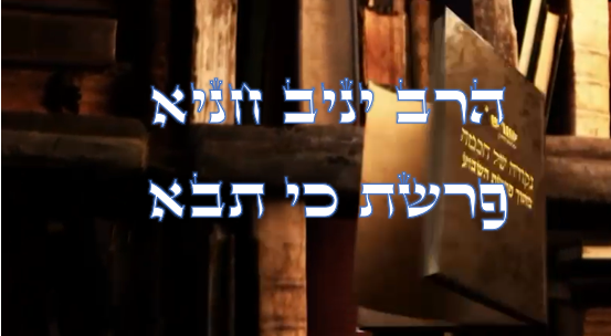 נקודה של חכמה מפרשת השבוע- כי תבא
